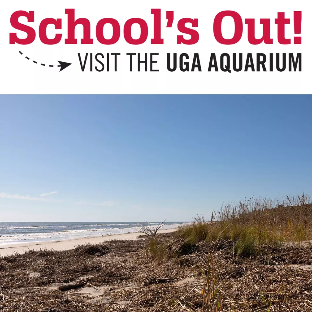 schoolsout-barrier2.webp