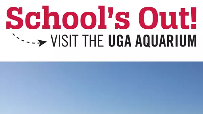 Image: School&rsquo;s Out Series: Barrier Island Exploration