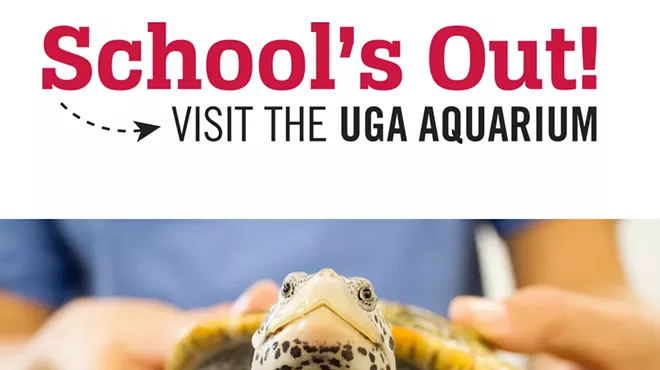 Image: School&rsquo;s Out Series: Coastal Reptiles