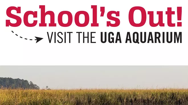Image: School&rsquo;s Out Series: Dolphin Study