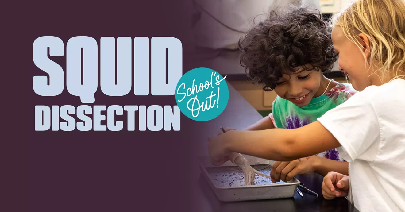 schoolsout-squid_dissection-fb.webp