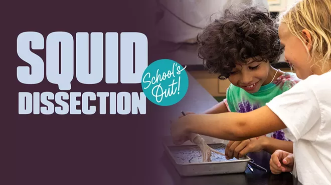 Image: School&rsquo;s Out: Squid Dissection
