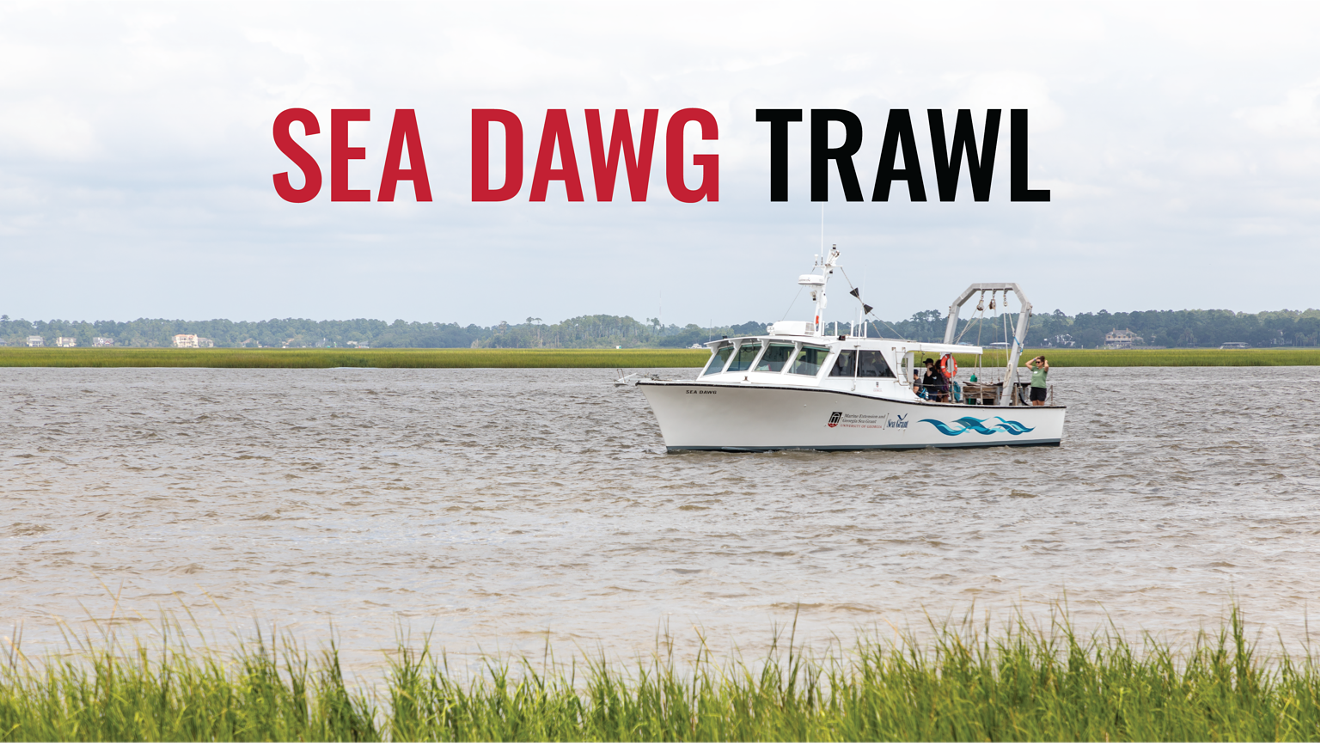 seadawgtrawl-new_2x-1536x864.png