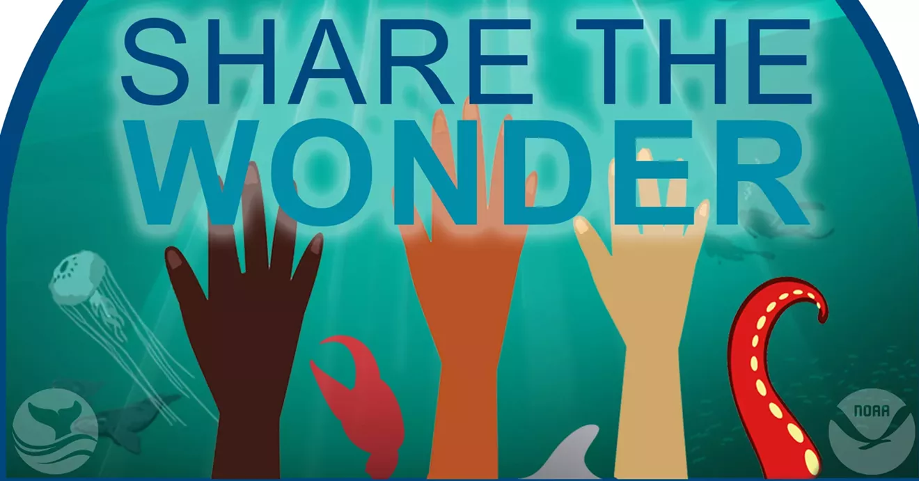 Raise your hands (or fins) to volunteer with your national marine sanctuary