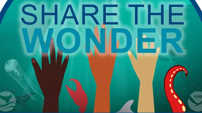 Image: Share the Wonder-Volunteer with Gray's Reef National Marine Sanctuary