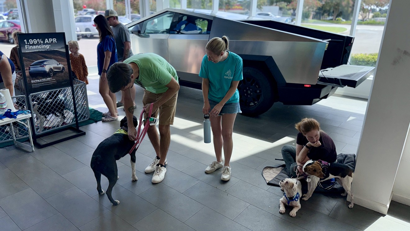 Tesla Hosts Renegade Paws Dog Adoption Event