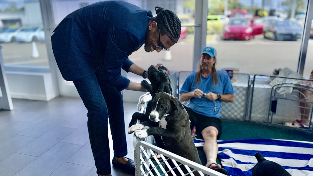 Tesla Hosts Renegade Paws Dog Adoption Event