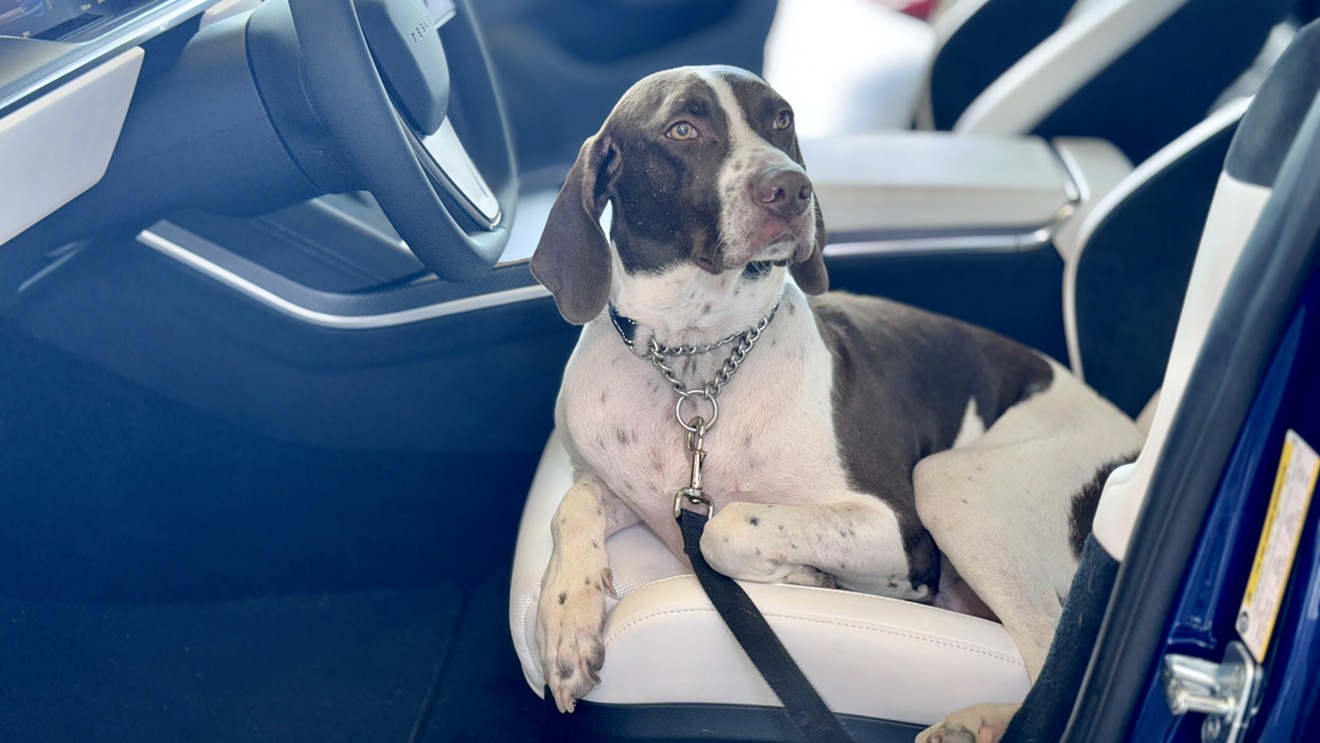 Tesla Hosts Renegade Paws Dog Adoption Event