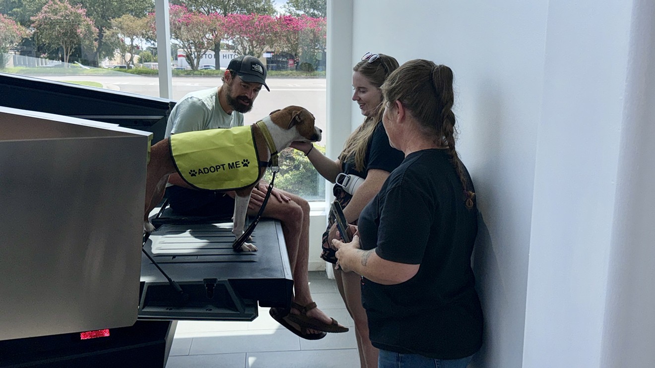 Tesla Hosts Renegade Paws Dog Adoption Event