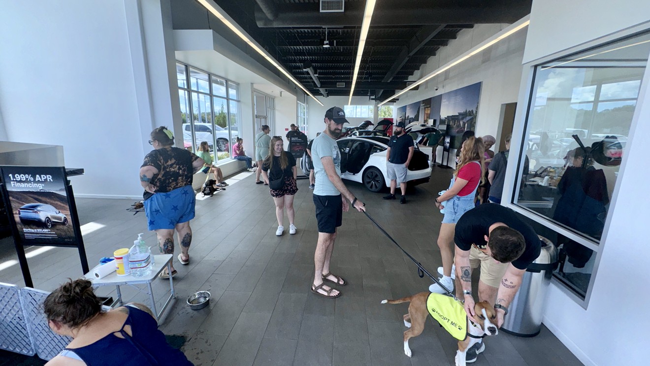 Tesla Hosts Renegade Paws Dog Adoption Event