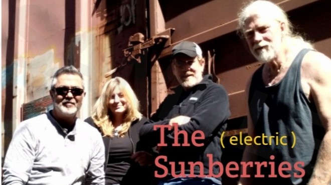 The Electric Sunberries at Molly Maguires Live