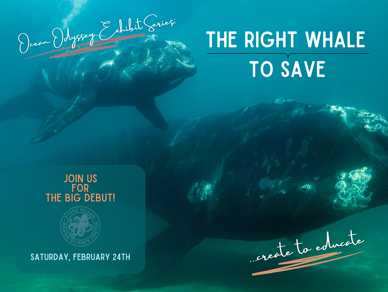 public_reveal_of_the_right_whale_to_save.png