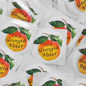 Tuesday is Primary Election Day in Georgia (5)