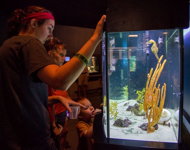 The joy of discovery at the UGA Aquarium