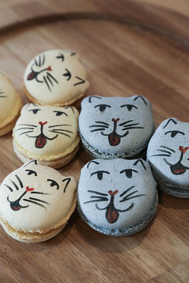 Pounce Cat Cafe: For the love of coffee and kitties