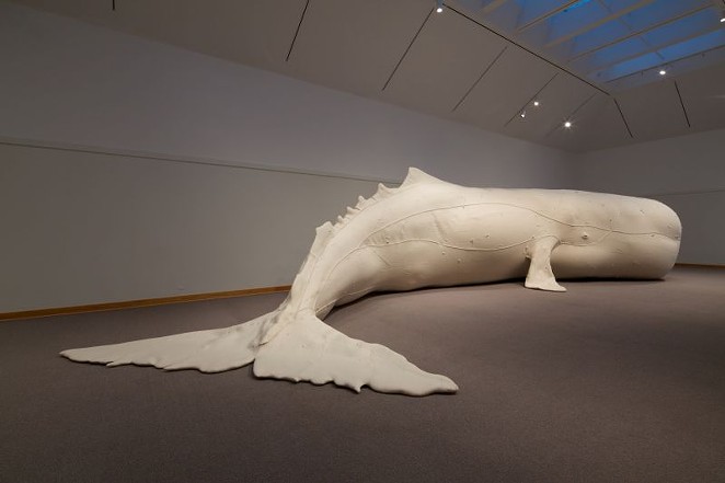 A whale of an exhibition