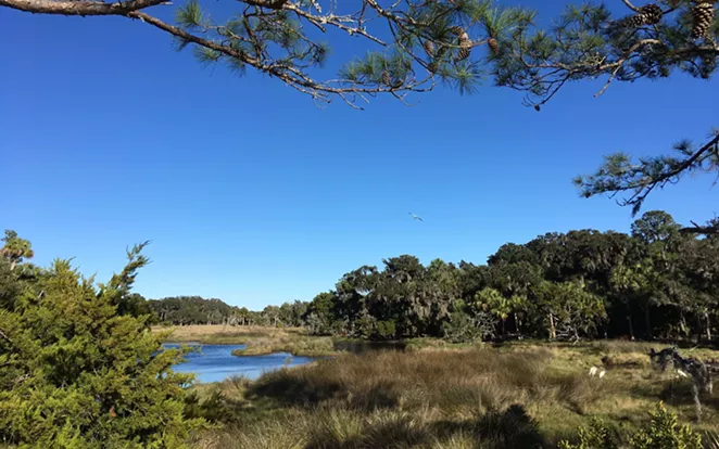 Ossabaw Island to host &lsquo;wild&rsquo; New Year&rsquo;s Eve celebration