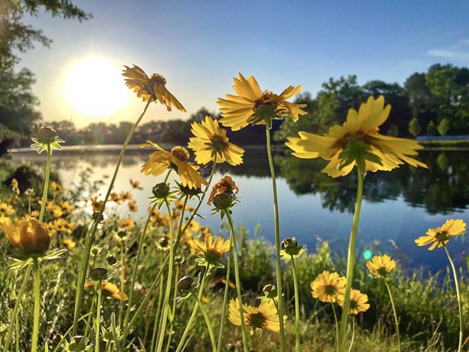Ogeechee Riverkeeper launches inaugural photo contest to raise awareness of regional watershed