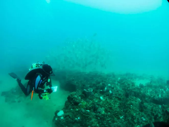 Savannah celebrates 40 years of protected status for Gray&rsquo;s Reef