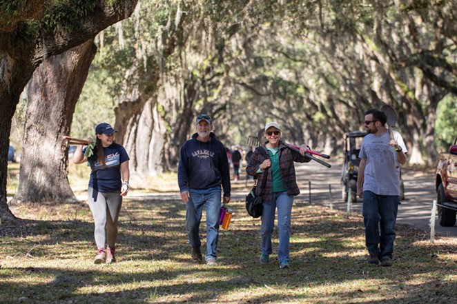 TREES PLEASE: The Wormsloe Tree Replacement Project ensures a sustainable future for the iconic Avenue of Oaks
