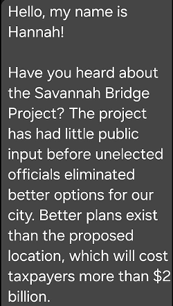 State lawmakers in Savannah weigh in on mystery mailer campaign, 'A Bridge Too Far For Savannah’ (4)