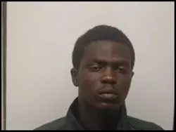 Homeowners foil burglary near White Bluff; suspect in custody