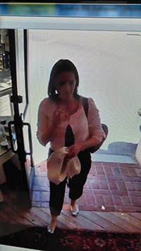 Downtown shoplifter caught on video, sought by police