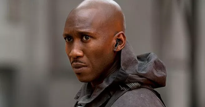 Molly Shannon, "Luke Cage" star Mahershala Ali among honorees for Savannah Film Festival
