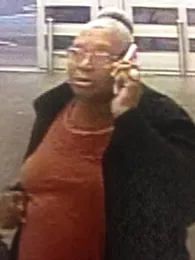 Police seek theft suspects