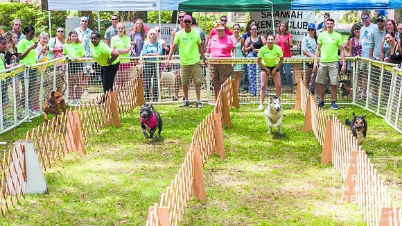 Humane Society’s annual carnival brings out the party animal in all of us