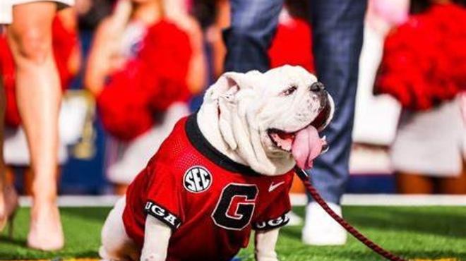 Uga X, 'most decorated of all the Bulldog mascots,' dies at home in Savannah
