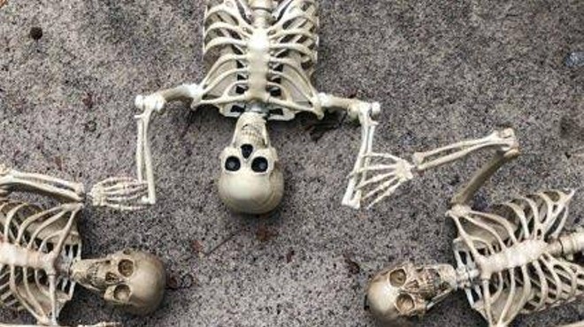 Where’s Noble Bones? A bone-chilling scavenger hunt