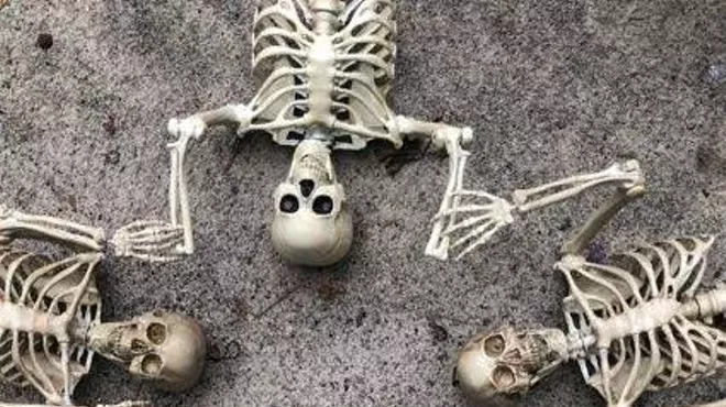 Image: Where&rsquo;s Noble Bones? A bone-chilling scavenger hunt