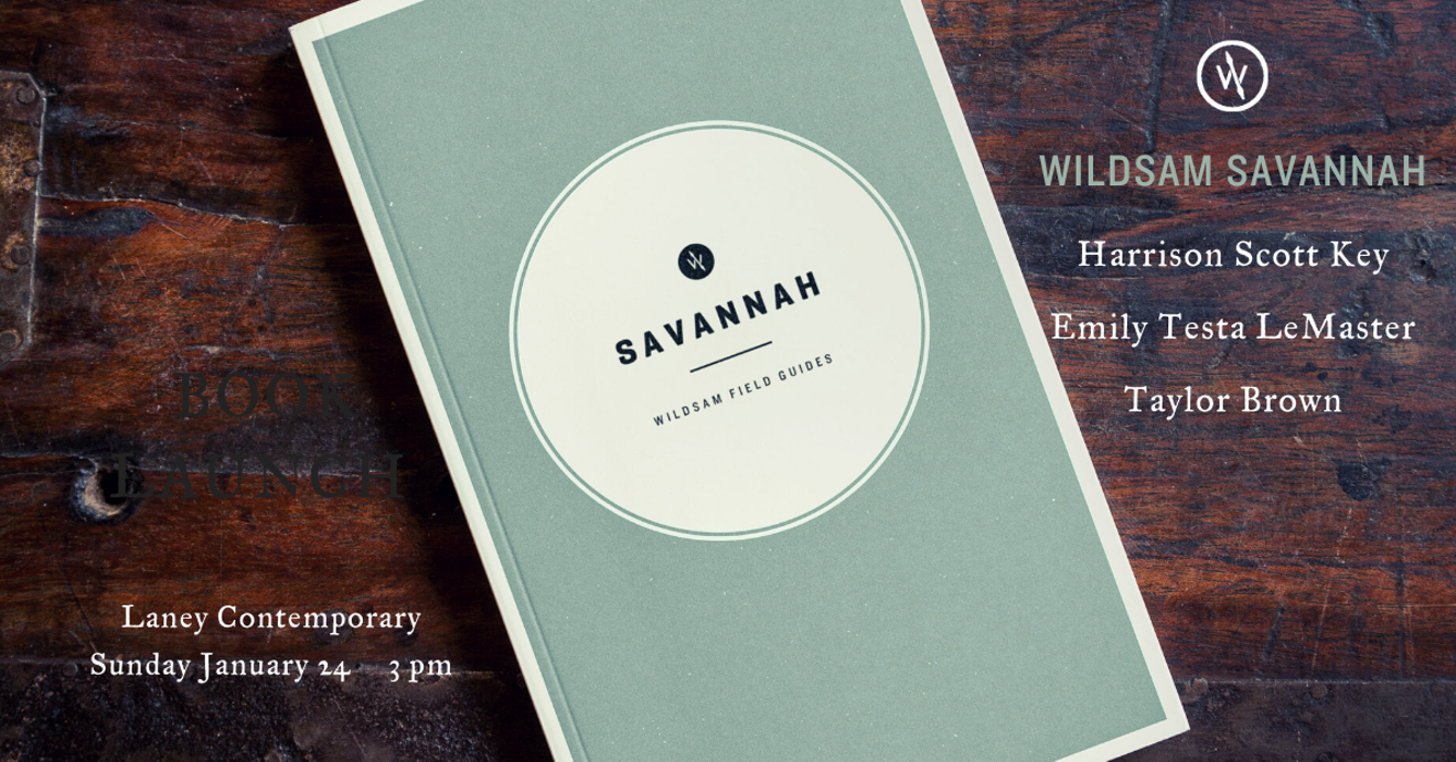 wildsam_savannah_fb_cover2.png
