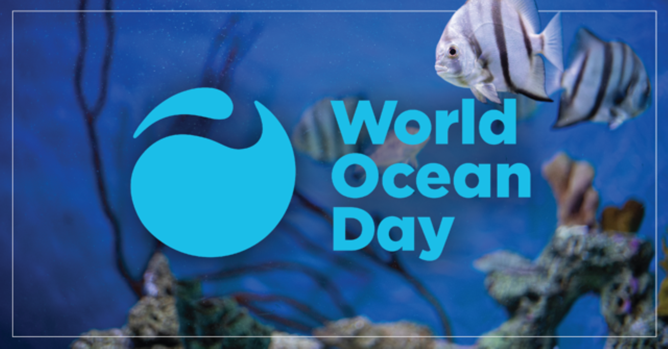 world-ocean-day-fb-640x335.png
