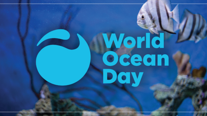 Image: World Ocean Day